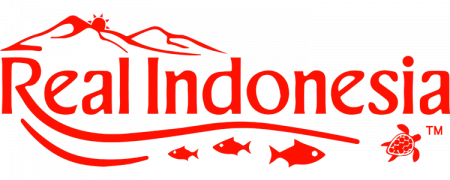 Real Indonesia Travel logo